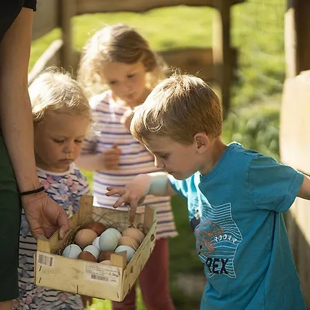 아파트 Gerwenshof 슈말렌부르크