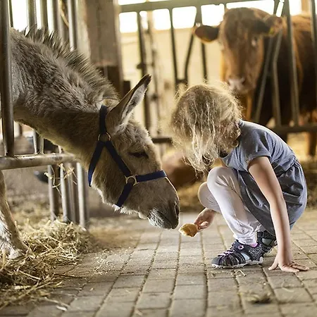 Gerwenshof 아파트 *