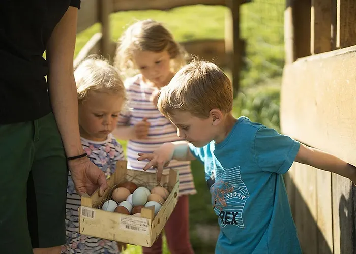 公寓 Gerwenshof 施马伦贝格